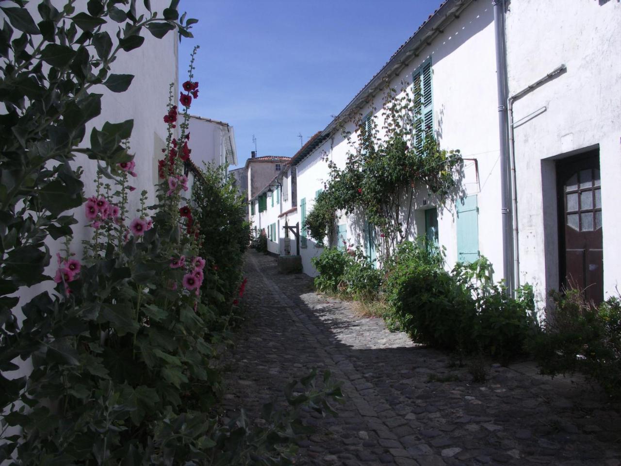 Maison Antioche Saint-Martin-de-Ré Exterior photo